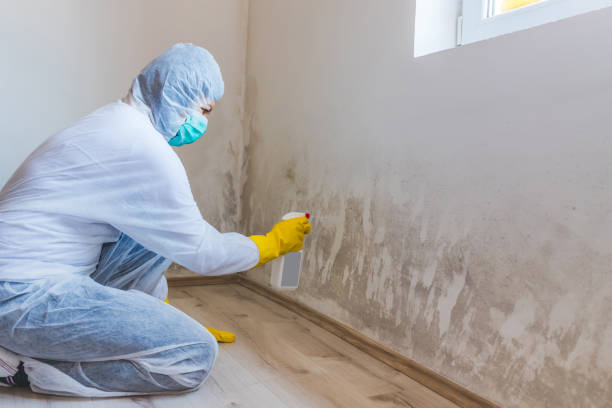 Mold Remediation specialist working in Winthrop